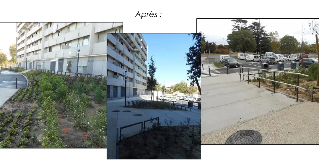 Aménagement pieds d&rsquo;immeubles – Toulouse