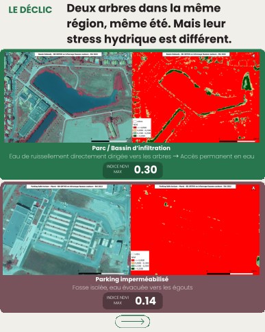 2AU, Atelier d&rsquo;Aménagement et d&rsquo;Urbanisme est, depuis très longtemps, sensible à la place du végétal 🌳en ville et à son rôle essentiel pour améliorer le cadre de vie.