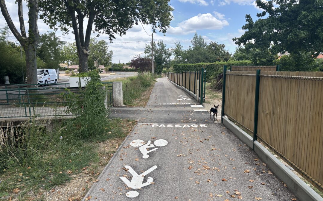 Piste cyclable RD56 – Pins-Justaret